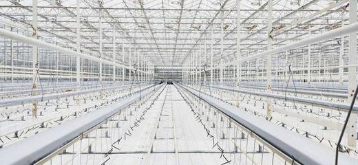上海崇明将建成世界级“智能玻璃温室”植物工厂,种4种作物