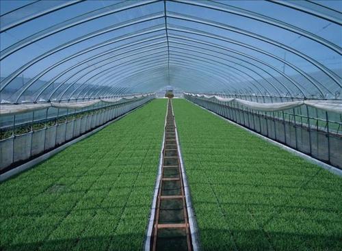 荷兰之所以能成为全球发达农业的典范,除了农业技术装备水平,经营管理