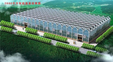 武汉欣农科技(多图)-大连温室大棚建设