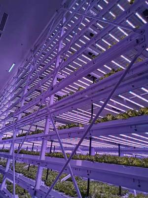 工厂化种植 多层植物工厂 植物工厂设计安装 鑫泽农业
