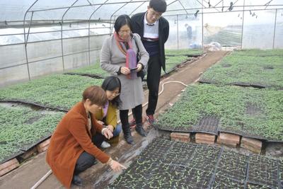 蔬菜专家到荣县开展蔬菜种植管理技术服务